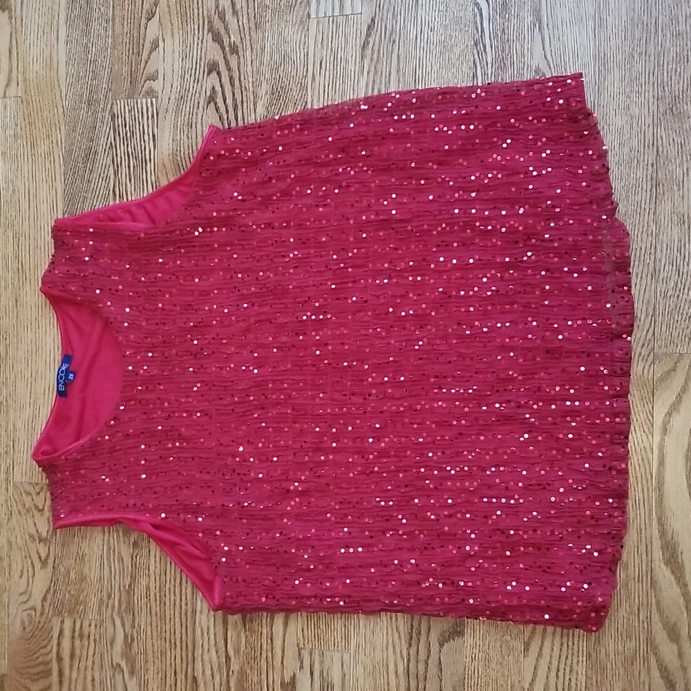 (2X) Encore Sparkly Festive Top Stretch Holiday Party Evening Celebration Dressy